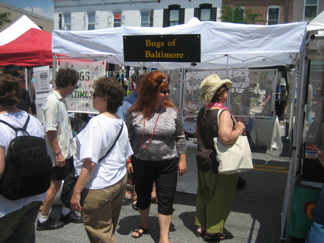 IMG_2518.JPG