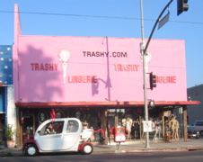 Trashy.com ... Store of the Stars