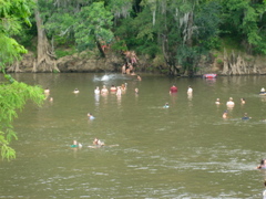 IMG_2951.JPG